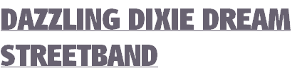 DAZZLING DIXIE DREAM
STREETBAND